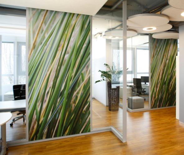 Akustik-Trennwand mit Druck und Glaselementen